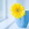 死亡笔记